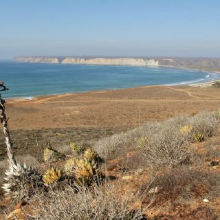 Organizaciones alertan sobre riesgos ambientales de megaproyectos en Golfo de California