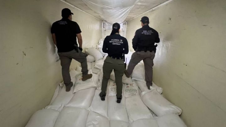 Decomisan 320 kilos de metanfetamina que transportaban dentro de tractocamión en Sinaloa