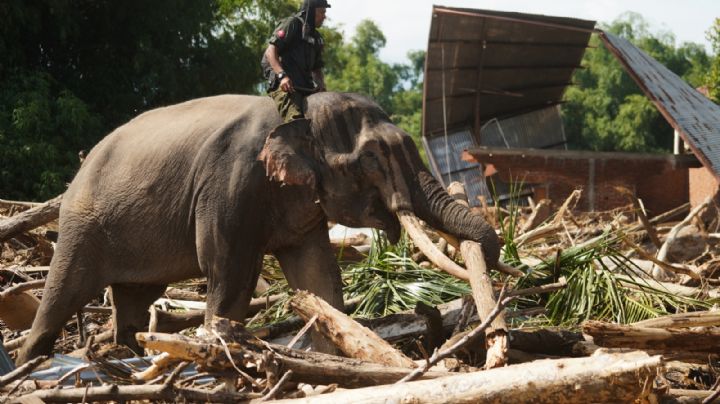 Suman 961 los muertos por las inundaciones en el oeste de Indonesia