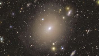 Telescopio espacial Euclid detecta anillo de luz alrededor de galaxia