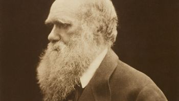 Charles Darwin nació hace 216 años. Ocho citas que definen su figura