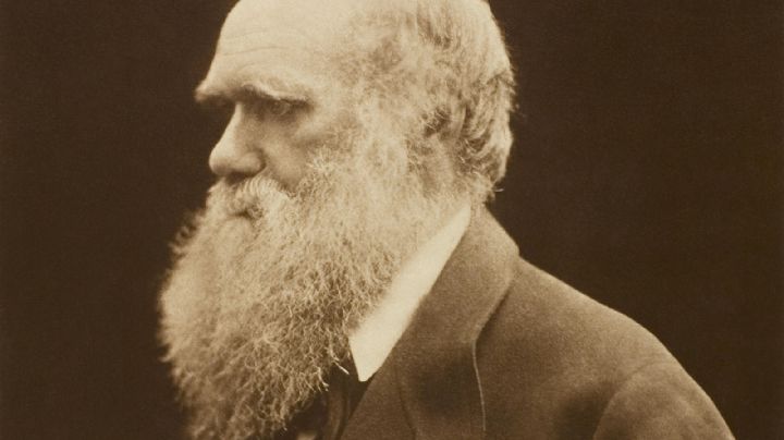 Charles Darwin nació hace 216 años. Ocho citas que definen su figura