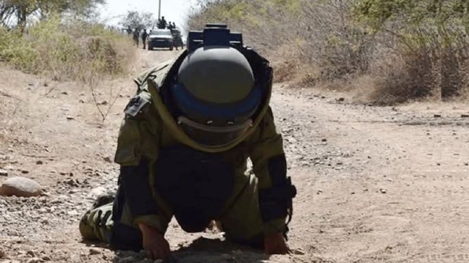 Encuentran 14 artefactos explosivos en brechas ejidales de Reynosa