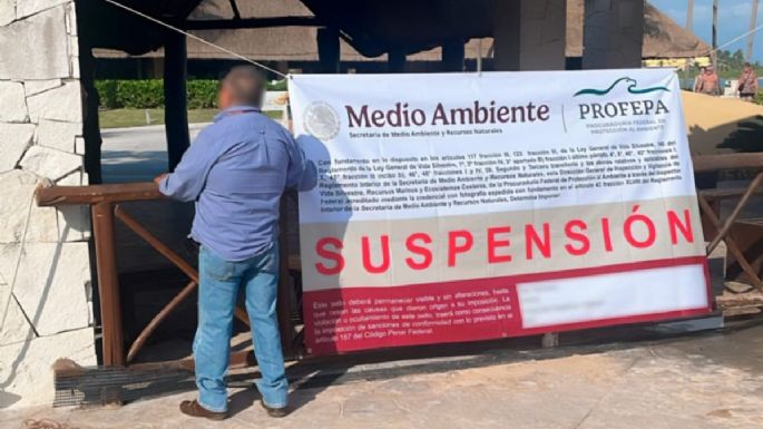 Profepa suspende las acrobacias con delfines en el hotel Barceló Riviera Maya (Video)