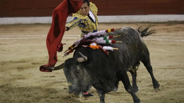 Discusión para prohibir las corridas de toros y peleas de gallos continuará en Congreso de la CDMX