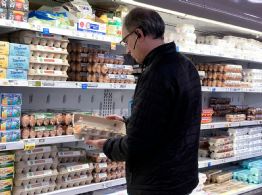 Seguridad alimentaria y nutrición: Destinarán 150 mil dólares al mejor proyecto de investigación