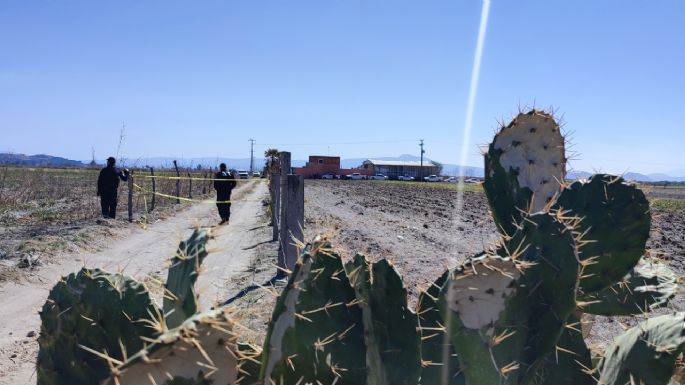 Guerreros Buscadores de Jalisco y CNB visitan narcofinca en Teuchitlán (Fotogalería y Video)