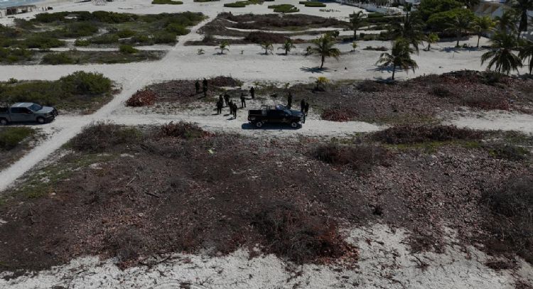 Se detendrá a quienes talaron manglar en Sisal, Yucatán, por ser delito federal: Bárcena