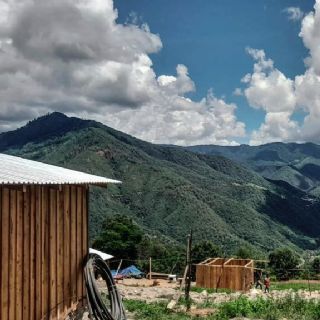 Oaxaca: Desterrados por su riqueza forestal