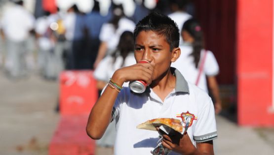 OMS pide a los colegios que ofrezcan una alimentación saludable a los alumnos