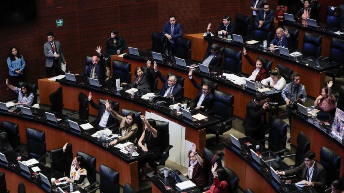 Senadores de la 4T avalan que el gobierno asuma las funciones del INAI