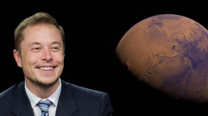 Elon Musk y la Royal Society: ¿Por qué lo aceptaron y ahora quieren expulsarlo?