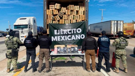 La ONU manifiesta preocupación porque se le otorguen facultades de inteligencia al Ejército Mexicano