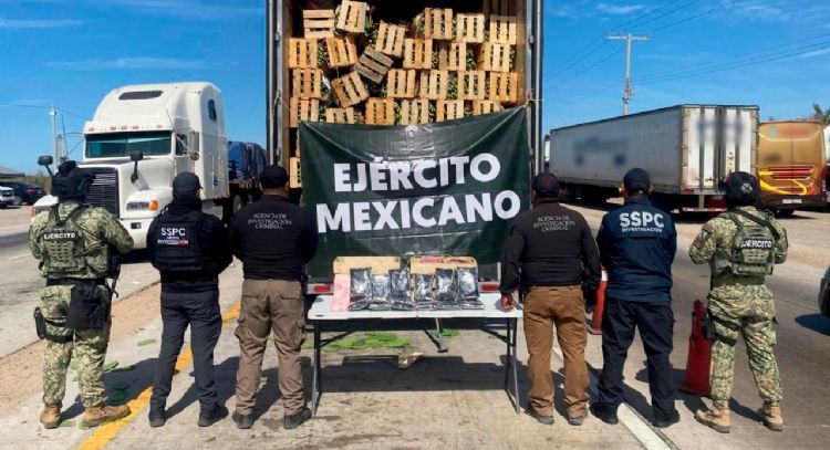 La ONU manifiesta preocupación porque se le otorguen facultades de inteligencia al Ejército Mexicano