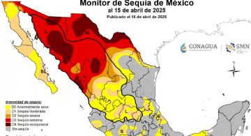 Falta de lluvias afecta más del 60% del territorio mexicano