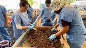 Foto ilustrativa de la nota titulada: Trabajos forenses en Jojutla avanzan sin plan real de identificación
