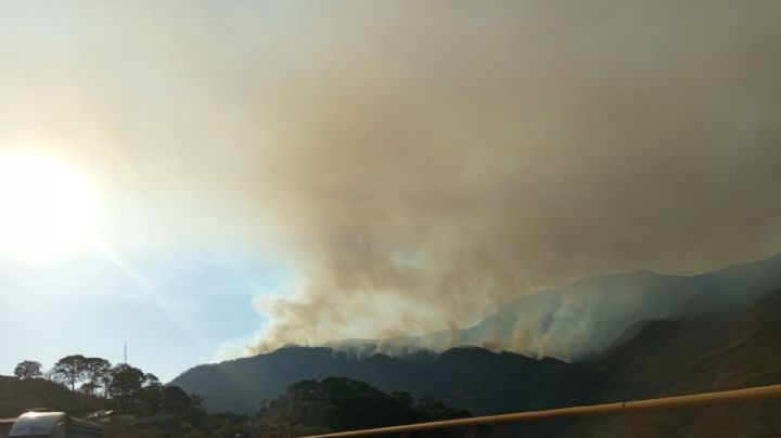 Incendios forestales en zonas serranas de Sinaloa continúan después de dos meses (Video)