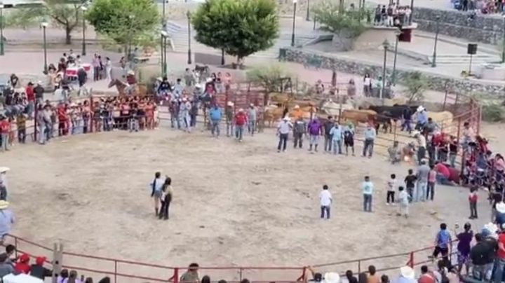 Torturan a dos gatos en fiestas patronales de Xichú, Guanajuato (Video)