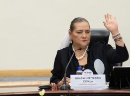 Taddei consuma el control de áreas clave del INE gracias a reforma impulsada por Morena