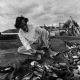 "Lu’ Biaani (ojo de luz): Francisco Toledo y la fotografía” regresa a CaSa tras recorrer el país