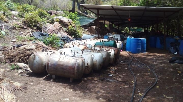 Desmantelan narcolaboratorio en Aquila; hallan mariguana y metanfetamina