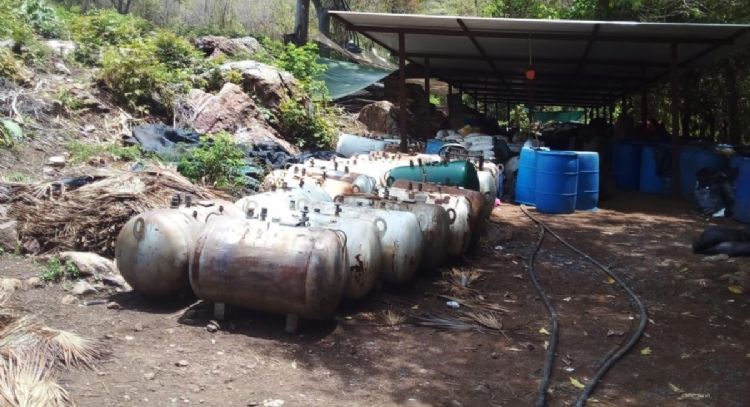 Desmantelan narcolaboratorio en Aquila; hallan mariguana y metanfetamina