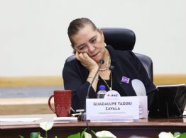 Elección judicial y ordinaria al mismo tiempo en 2027 es materialmente imposible: Taddei