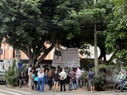 Conceden suspensión provisional para evitar la tala del árbol centenario Laureano
