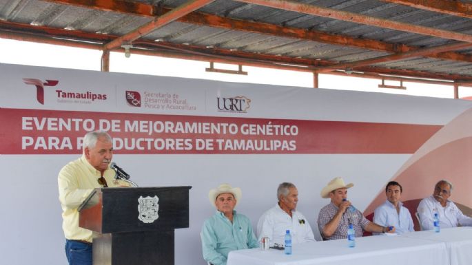 Impulsa Tamaulipas sector ganadero con Programa de Mejoramiento Genético
