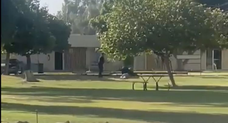 Recapturan a reo a balazos, patadas y golpes en la cabeza (Video)