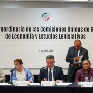 En comisiones del Senado avanza ley nacional para eliminar trámites burocráticos
