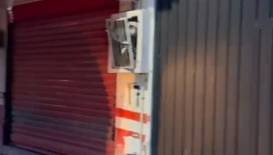 Hombre golpea a un perro en Cuernavaca y provoca su muerte