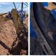 Buscadoras de Cajeme encuentran 11 cuerpos en fosa clandestina de Ciudad Obregón