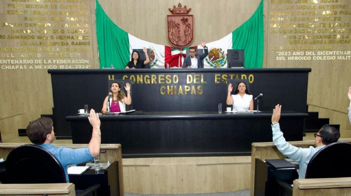 Congreso de Chiapas endurece sanciones contra el maltrato animal