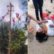 Cinco Voladores de Papantla caen de más de 10 metros tras colapso de estructura (Videos)