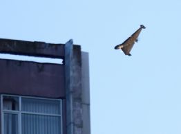 Ucrania afirma que Rusia lanzó el mayor ataque aéreo desde el inicio de la guerra