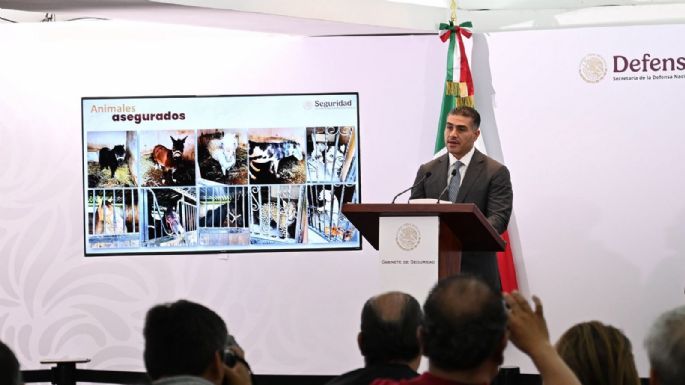 Así era el “modus operandi” de la red de huachicoleo desmantelada en megaoperativo (Video)