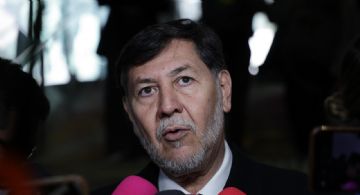 Yo la apoyaría: Fernández Noroña respalda a senadora Laura Itzel Castillo para presidir el Senado