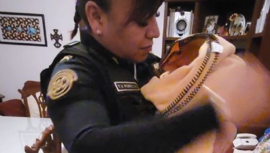 Policías rescatan a bebé abandonada en calles de la alcaldía Álvaro Obregón