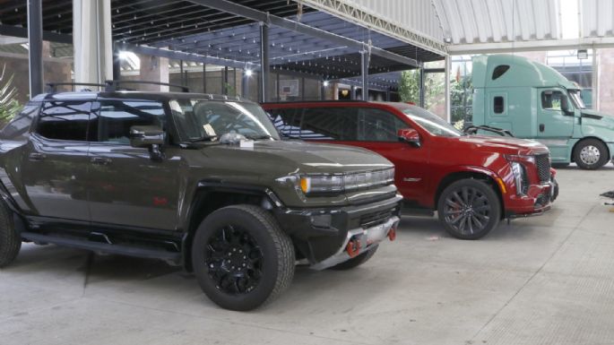 Autos de lujo y animales exóticos: las imágenes del megaoperativo (Fotogalería y video)