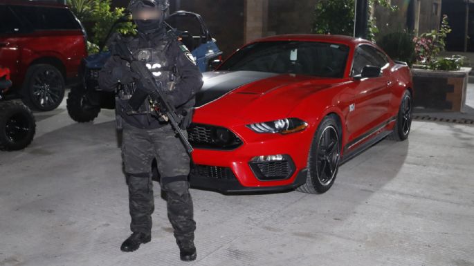 Autos de lujo y animales exóticos: las imágenes del megaoperativo (Fotogalería y video)