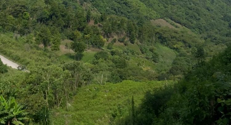 Jueza niega amparo a indígenas que buscan detener la construcción de la vía San Cristóbal-Palenque