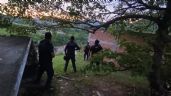 Foto ilustrativa de la nota titulada: Alertan por desplazamiento forzado ante enfrentamientos armados en Michoacán