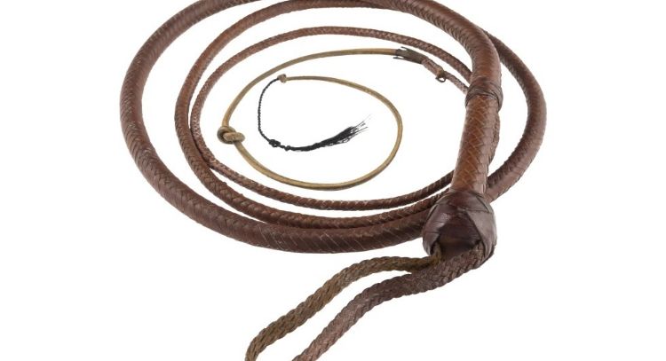 El látigo de Indiana Jones se vende por 525 mil dólares en una subasta