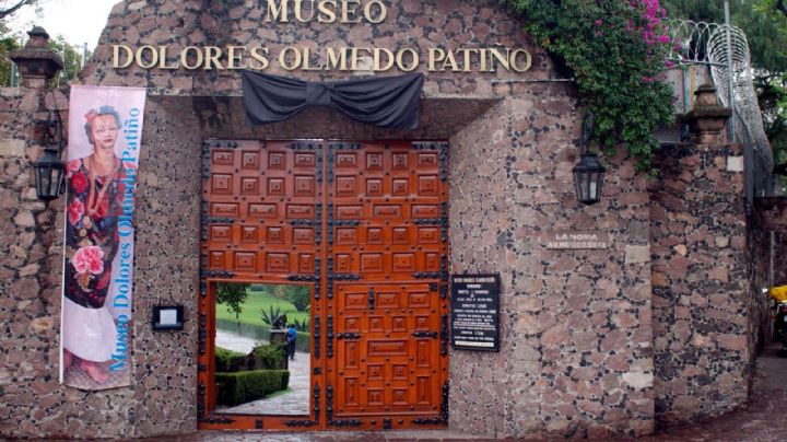 El Museo Dolores Olmedo y su colección, “de interés nacional”: especialistas