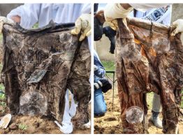 Han localizado 197 bolsas de plástico con restos humanos en la fosa Las Agujas, en Zapopan