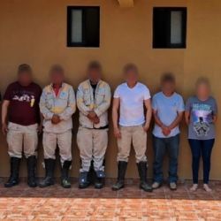 Liberan a trabajadores de la CFE y del Tren Interoceánico  víctimas de secuestro virtual en Oaxaca