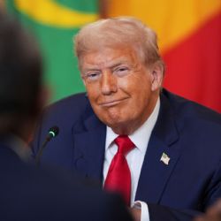 Gobierno de Trump manda a Alligator Alcatraz a adolescente mexicano de 15 años