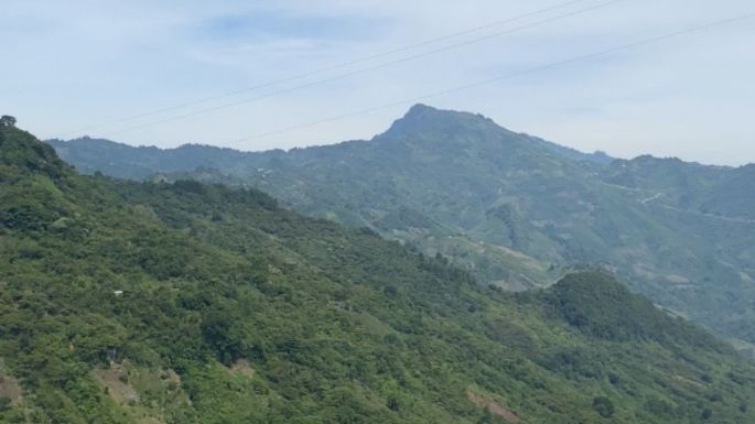 Organizaciones exigen suspensión inmediata y definitiva de la carretera San Cristóbal-Palenque
