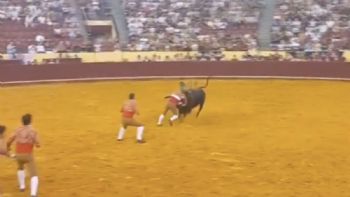 Tragedia en los toros: joven forcado muere tras ser embestido (Video)